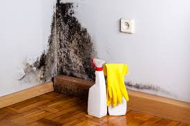 Best Mold Documentation for Insurance Claims in Hopatcong, NJ